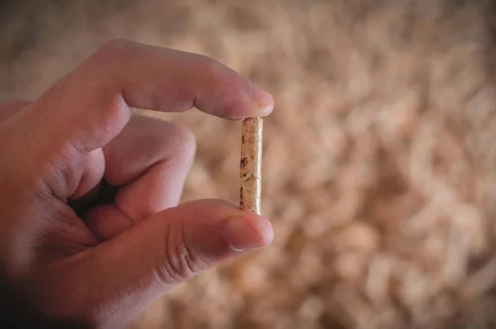 Jak przechowywać pellet, aby uniknąć wilgoci i straty jakości